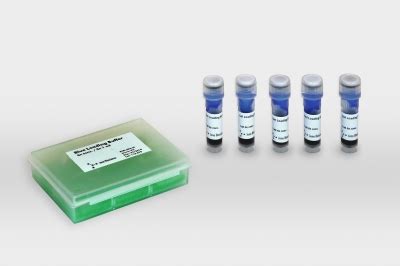 e gel loading buffer|and PCR buffers) 2.